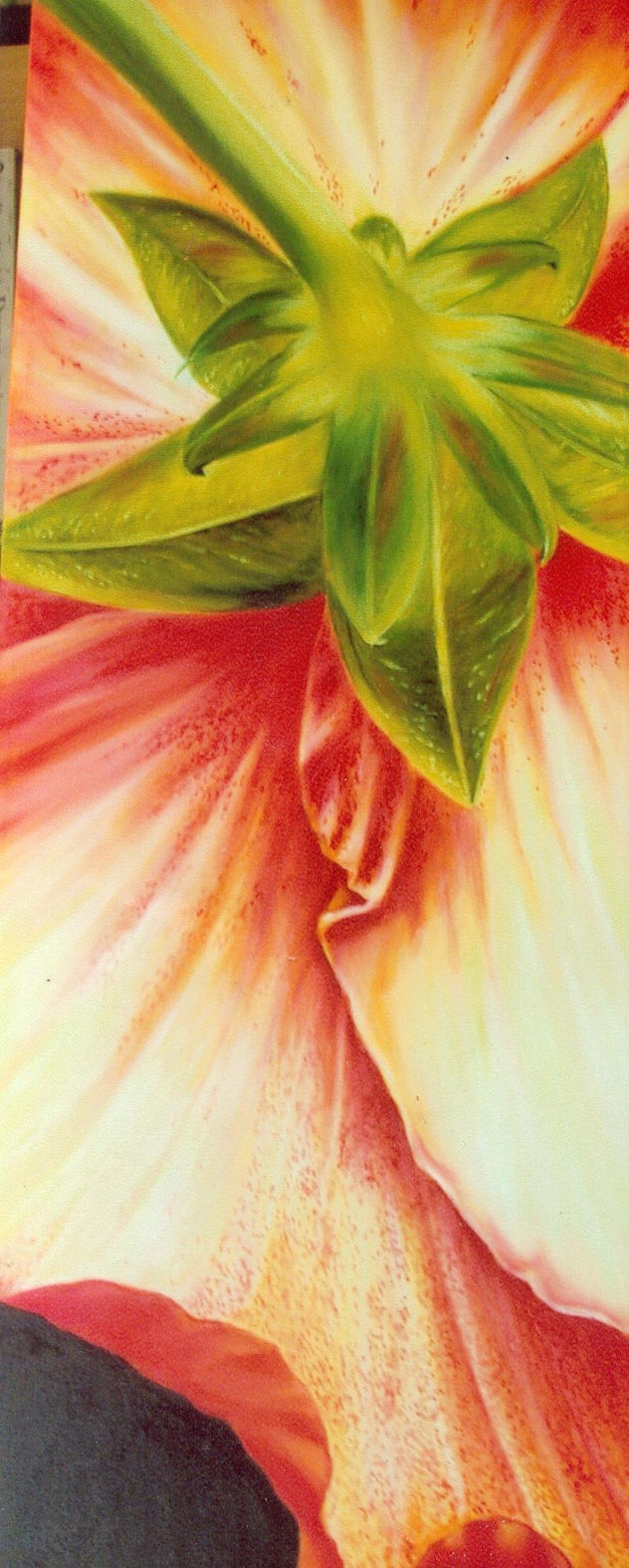detalle de flor
