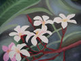 Flores exóticas