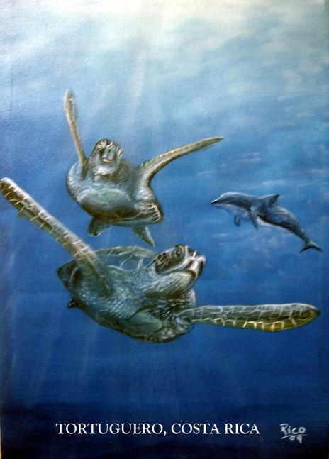 Tortuguero.costa rica