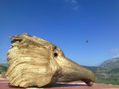 GOLDEN EAGLE 634/2011