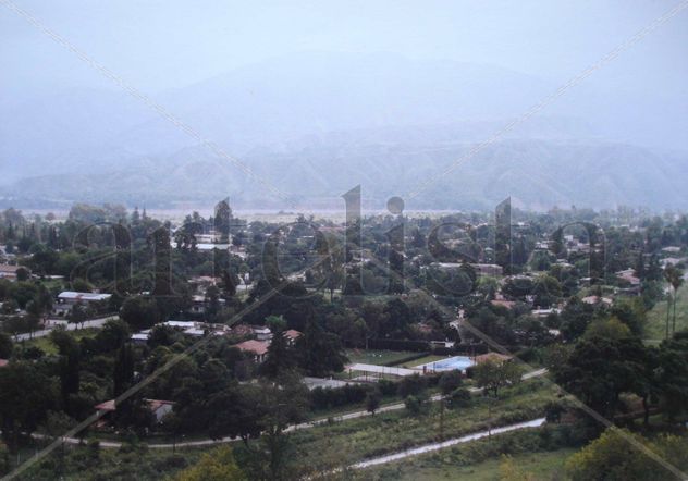 NEBLINA EN CAMPO QUIJANO