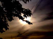 Sol entre hojas