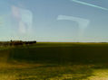 campo