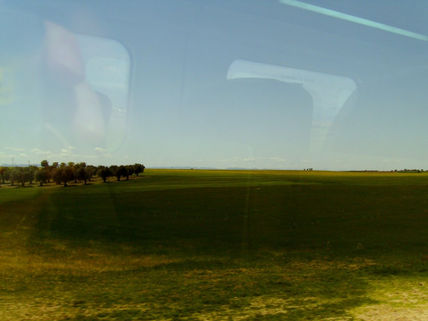Campo