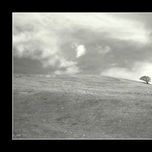 PatagoniaNatural thumbnail 2