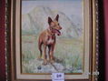 PODENCO ANDALUZ
