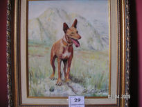 Podenco andaluz