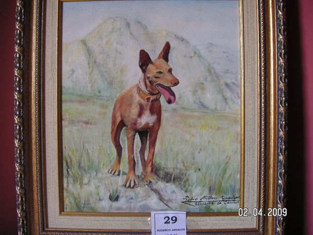 PODENCO ANDALUZ Oil Canvas Animals