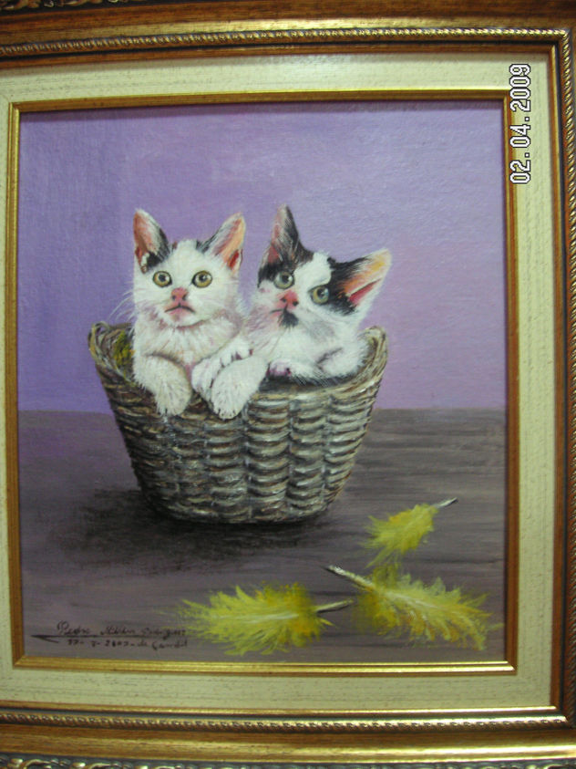 CANASTA DE GATOS