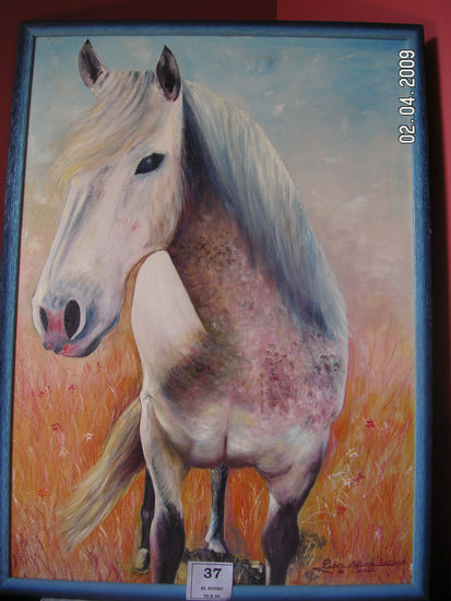 EL POTRO Oil Canvas Animals