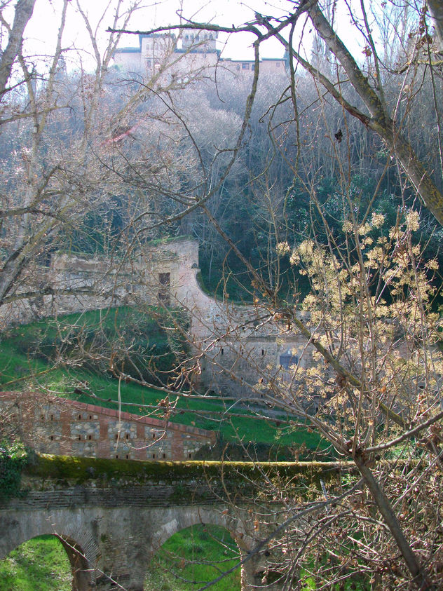 la alhambra desde el darro