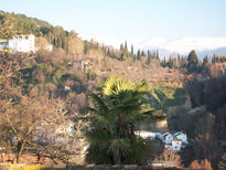 Vista de granada