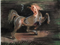 Caballo