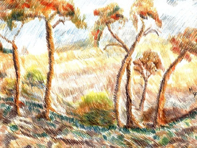 PALMERAS