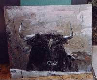 Toro lucero