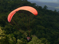 Vuelo a la libertad