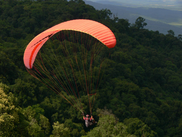 Vuelo a la libertad 