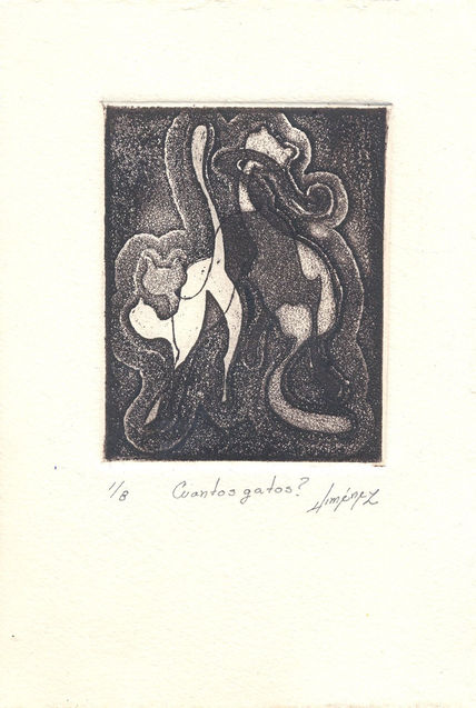 "cuantos gatos"