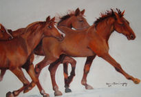 Horses