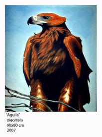 Aguila