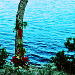 Agua thumbnail 1