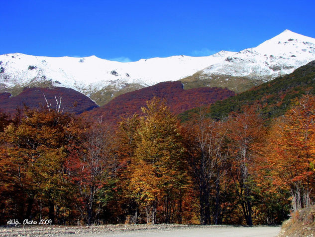 Isla de Tierra del Fuego II 