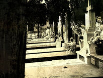 Cementerio XV