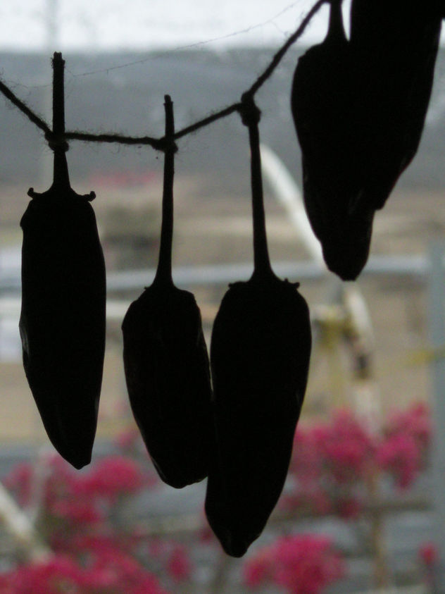 chiles