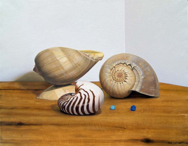 Conchas Oil Canvas Still Life Paintings