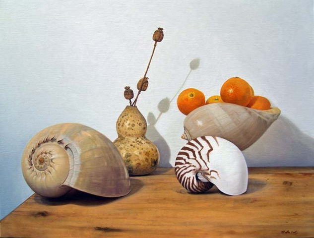 Conchas 2 Oil Canvas Still Life Paintings