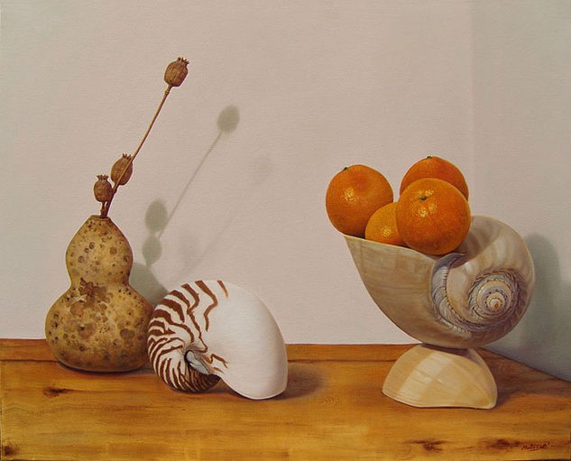 Conchas 3 Oil Canvas Still Life Paintings