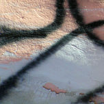 Naturaleza urbana thumbnail 2