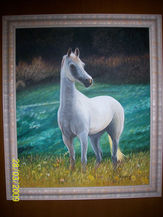 CABALLO