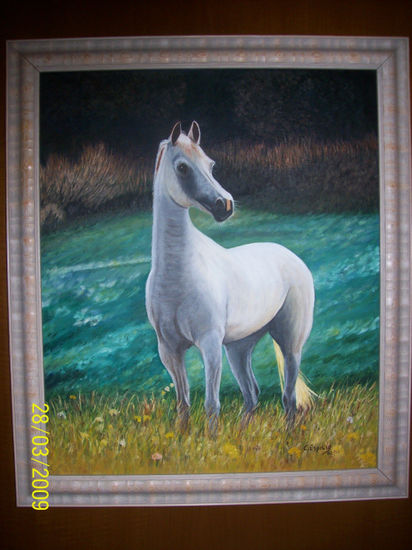 CABALLO 