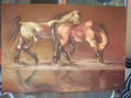 caballos en siena