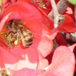 Fotografia thumbnail 1