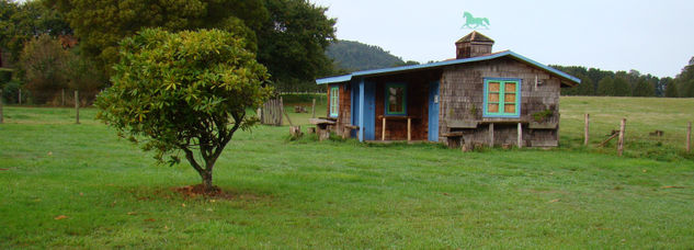 CASA RURAL Viajes Color (Digital)