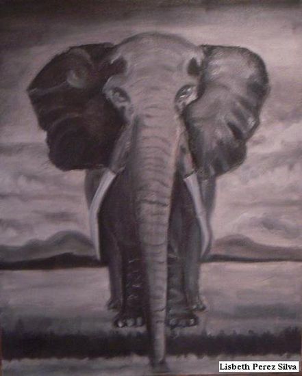 Sed de Africa Oil Canvas Animals