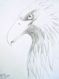 Aguila