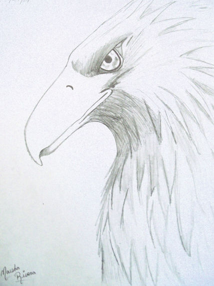 Aguila