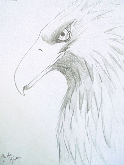 Aguila 