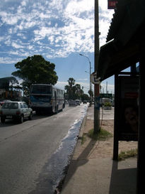 Esperando el omnibus