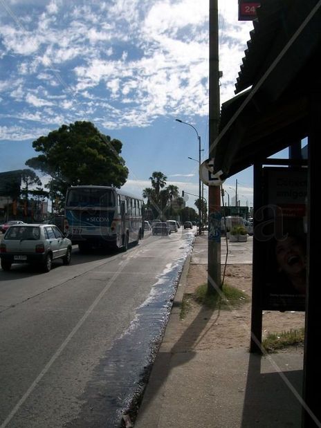 Esperando el omnibus