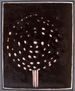 árbol 22