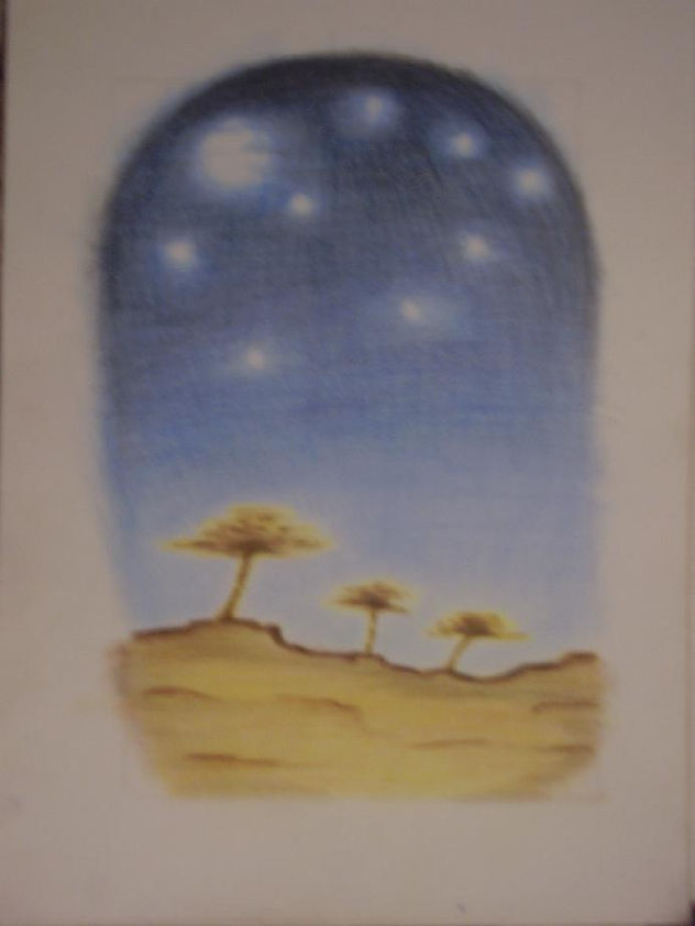 Noche de estrellas