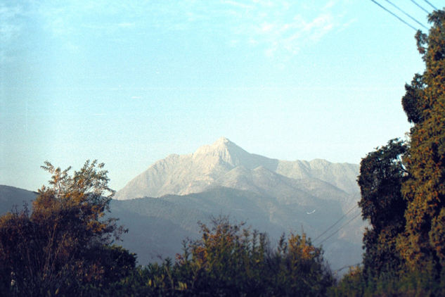 Cerro La Campana - Olmué - Región de Valparaíso 