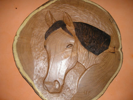 Cabeza de caballo