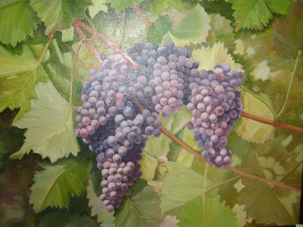 Uvas negras de parra