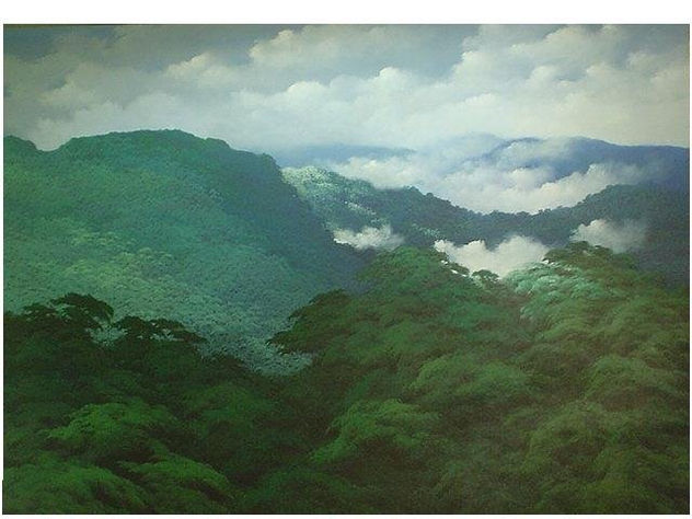 cumbres
