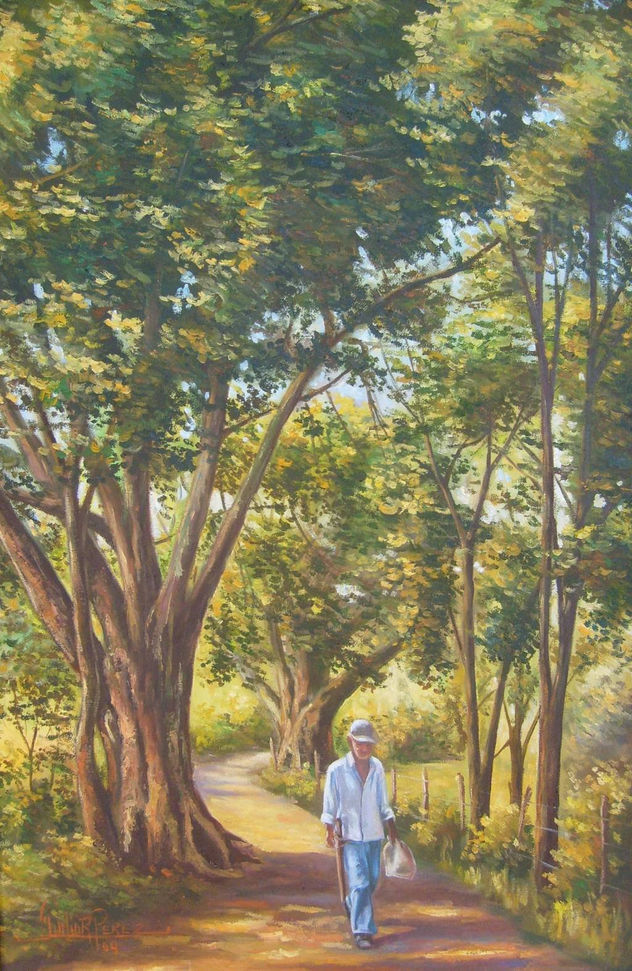 sendero de ida y vuelta